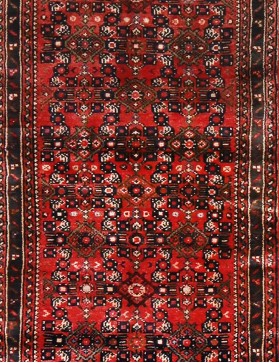 Hamadan 299 x 75 rot