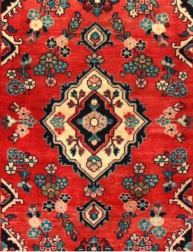 Hamadan 176 x 95 rot