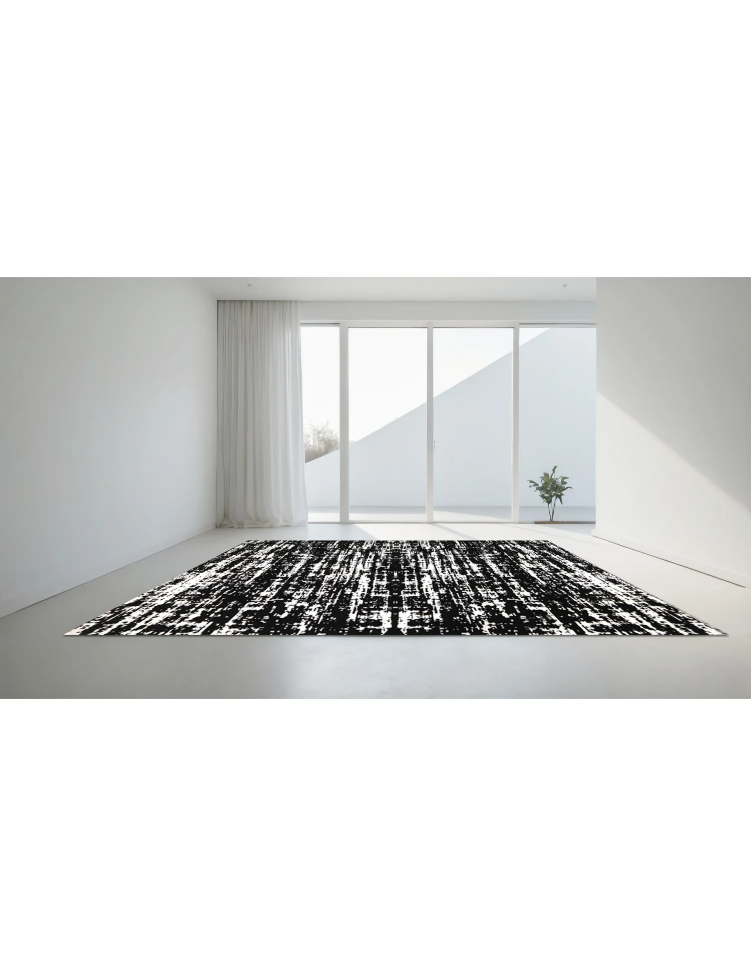 Soba  noir  356 x 259 cm